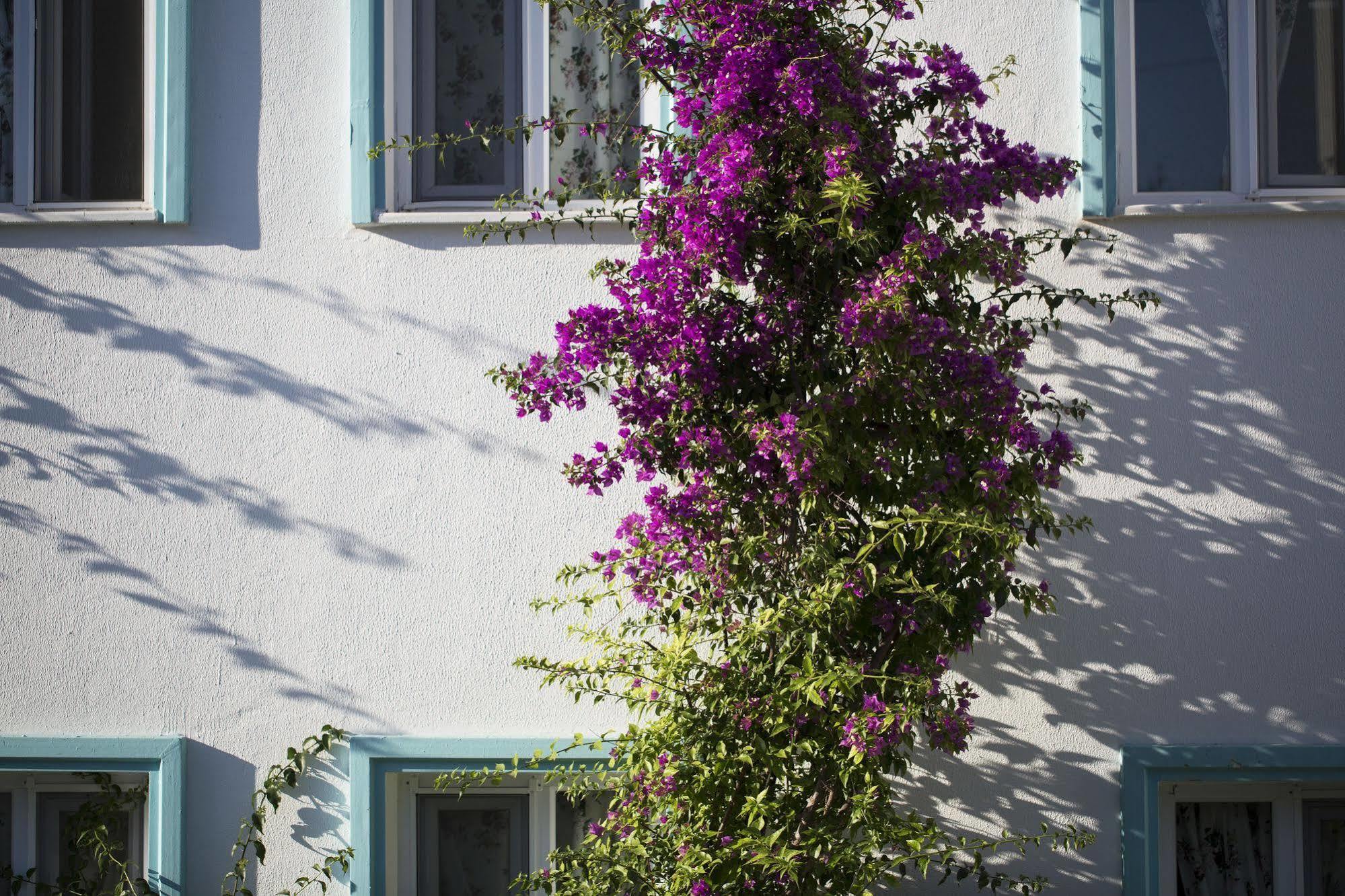 Istanbul Hotel Bodrum Туркбуку Екстериор снимка