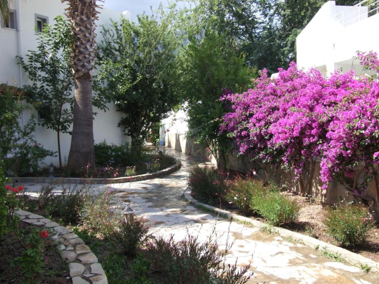 Istanbul Hotel Bodrum Туркбуку Екстериор снимка
